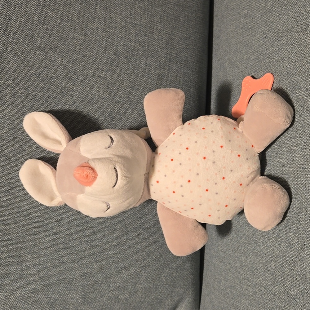 Stuffed animal with music